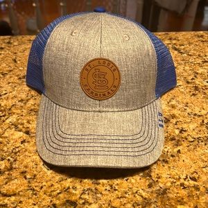 Cardinals SLU “Billikens night at the ballpark”